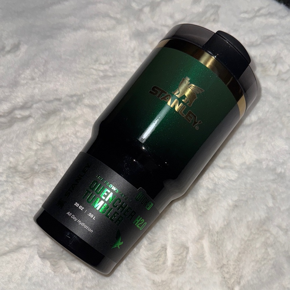 2024 NEW Wicked Elphaba Stanley 20oz Tumbler
